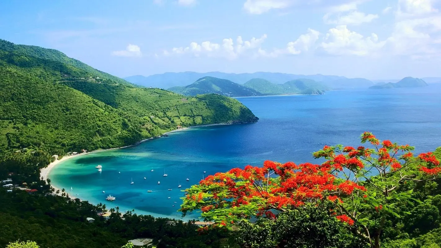 高精度高精度智能系统